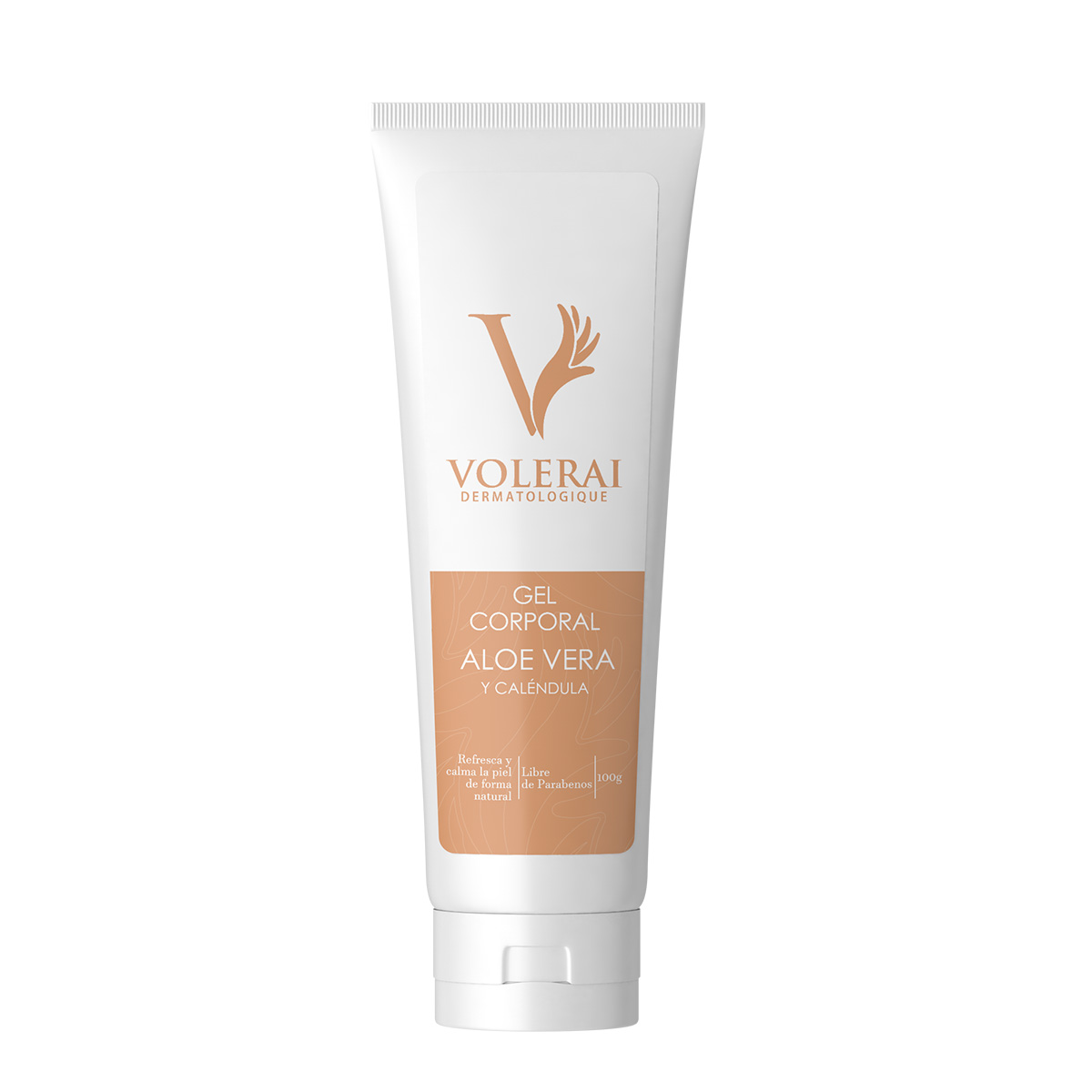 Aloe-vera-1