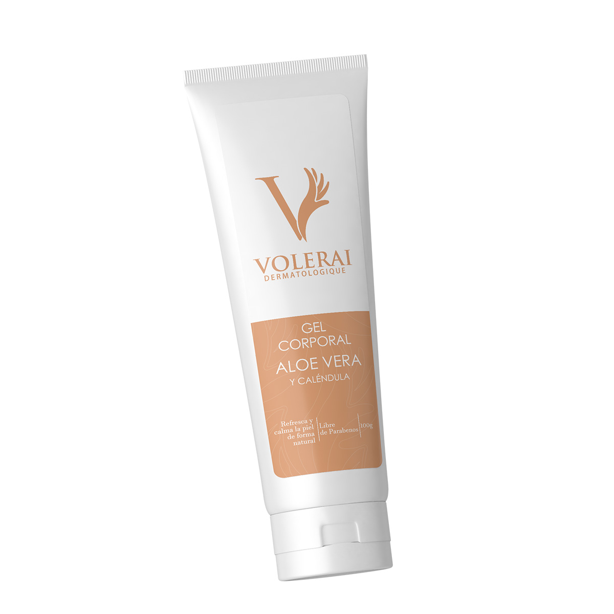 Aloe-vera-2
